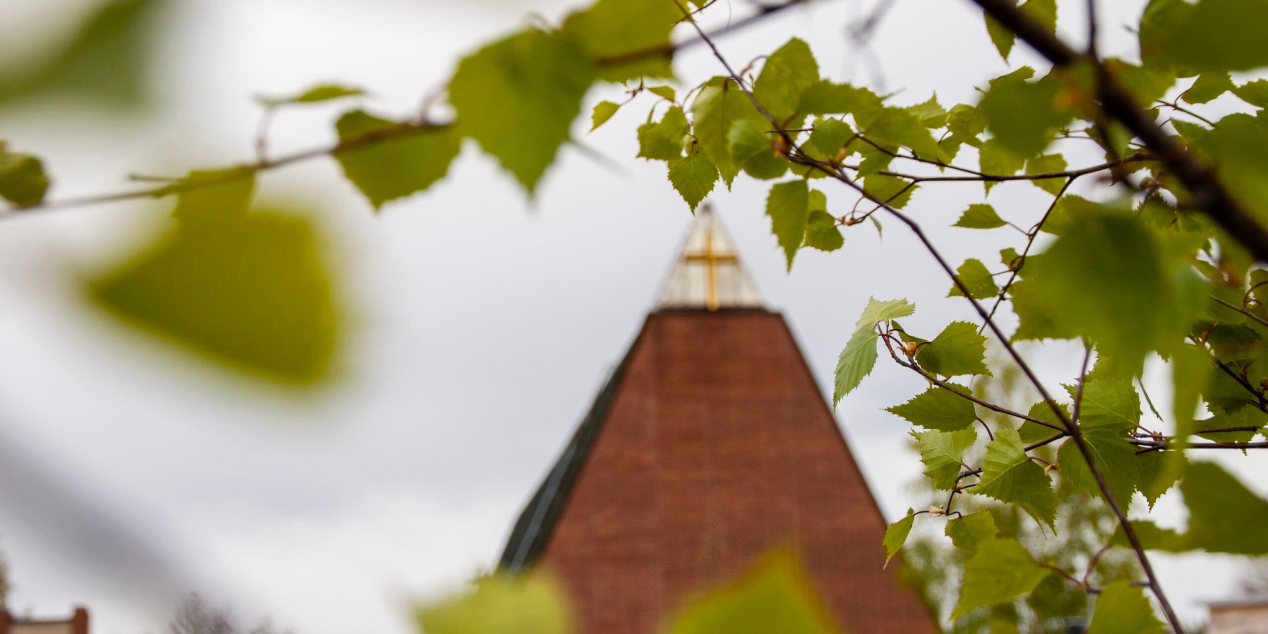 Ny ansökan om Asyl för Azita och Kamal